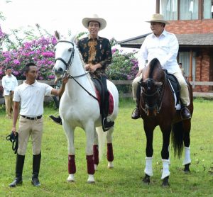 Presiden Joko Widodo (kiri) bersama Ketua Umum Partai Gerindra Prabowo Subianto (kanan) menunggang kuda disela-sela pertemuan di Padepokan Garuda Yaksa, Hambalang, Bogor, Senin (31/10). Pertemuan tersebut dalam rangka silaturahmi sekaligus membahas masalah bangsa, politik dan ekonomi. MTD/Biro Pers Setpres