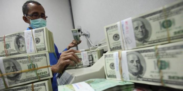 Petugas memverifikasi uang dollar AS di cash center Bank Mandiri.(KOMPAS/RIZA FATHONI)