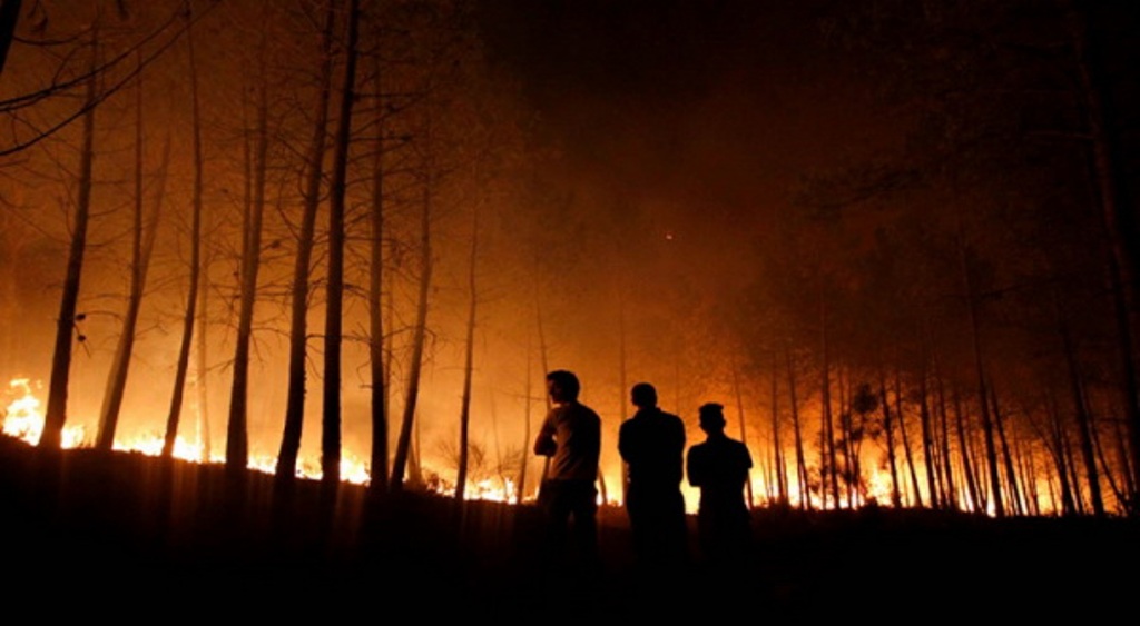 20 Hektare Kawasan Hutan  di TOBA SAMOSIR Terbakar